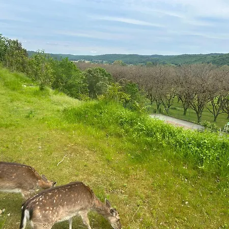 Domaine De La Source Semesterbostad Montignac-Lascaux