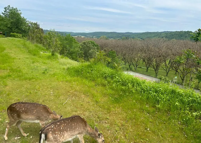 Domaine De La Source 度假居 蒙蒂尼亚克